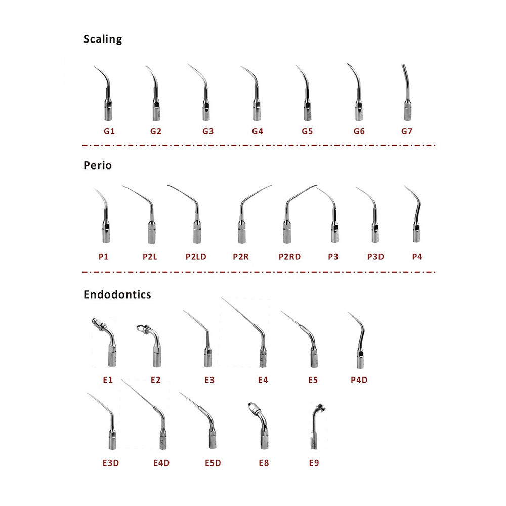 1PC Tandheelkundige Scaler Tips Scaling Parodontologie Endodontie ScalerTip G P E Voor EMS Specht Ultrasone Scalers