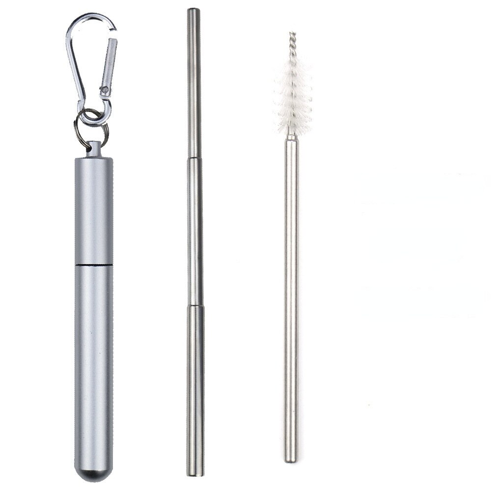 304 Stainless Steel Telescopic Straw Travel Reusable Portable Foldable Metal Beverage Milk Tea Straw: 10