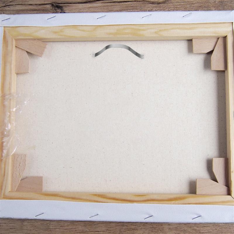 50Pcs Picture Frame Backing Spring Clips DIY Picture Framing Tools Pictures Frame Backing Hardware Photo Frame Clips Hangers