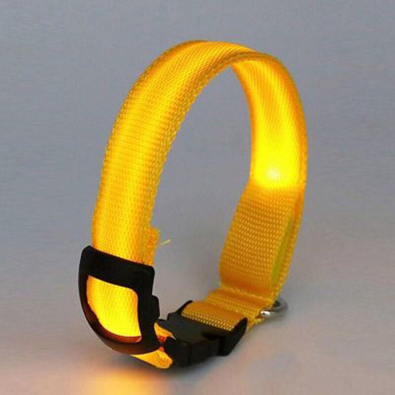 Collier Fluorescent en Nylon pour Chien, accessoire lumineux de nuit, lumière LED, harnais pour Chihuahua, Pitbull, EE5QY