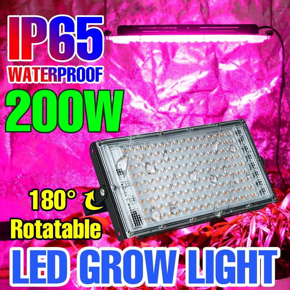 200W Led Kweeklampen Volledige Spectrum Phytolamp Voor Planten Kas Hydrocultuur Bloem Zaden Groeiende Lamp 220V Lamp Voor planten