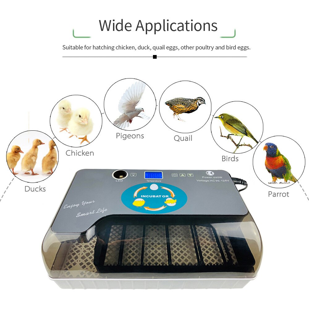 Digitale Ei Incubator Eu Plug Automatische Ei Hatcher Draaien 12 Eieren Kip Vogels Kwartel Broedmachine Ei Incubator Uk Au Ons plug