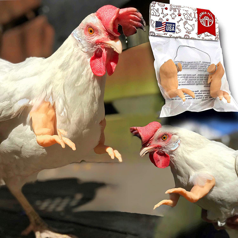 Funny Fighting Chicken Arms Toys Artificial Wearing Muscle Arm For Pigeon Hen Pet Theme Party Props Chicken Accessories Supplies: black
