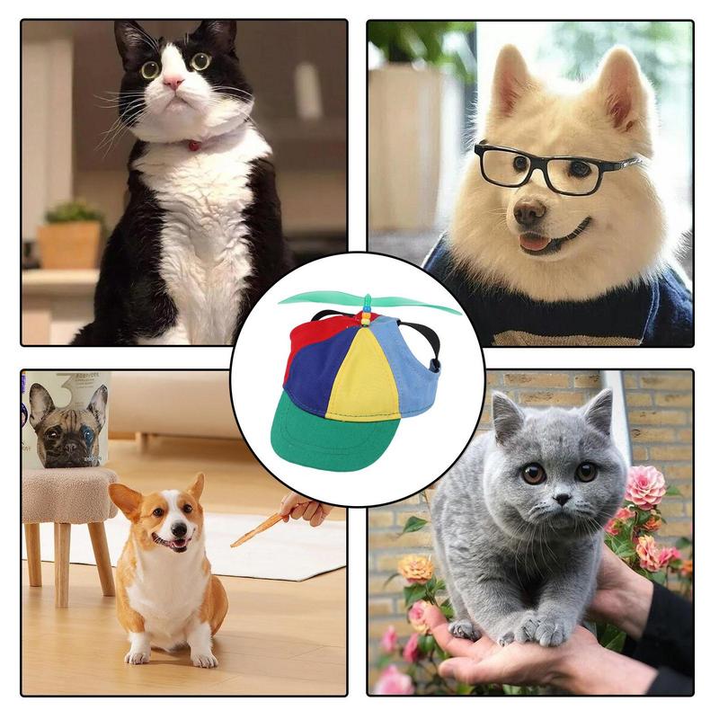 Cappello a elica per cani cappelli per sport tutto'aria aperta per animali domestici con fori per le orecchie cappello per cani cappello a cilindro per elicottero arcobaleno per piccoli cuccioli di gatti forniture per animali domestici