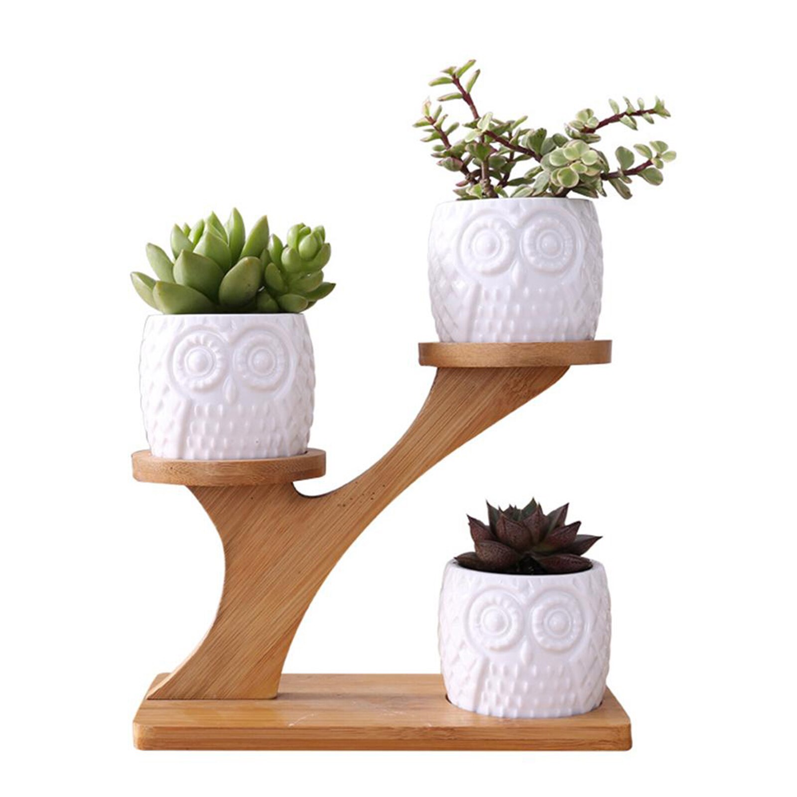 Succulent Pot Mini Cactus Pot Desk Garden Wooden Stand Holder 3 Tier White Ceramic Vase Home Office Plant Garden Pots
