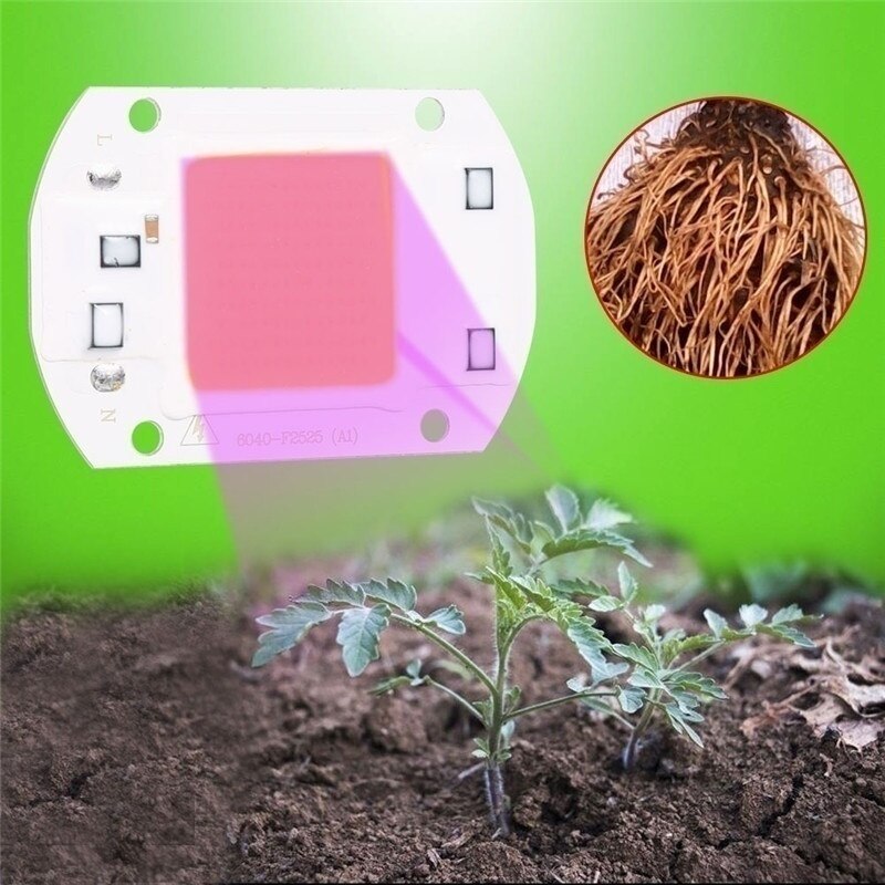 UV Full Spectrum LED Plant Grow Light Lamps for R Indoor Plant Seedling Grow and Flower Growth Fitolamp(20W/30W/50W )