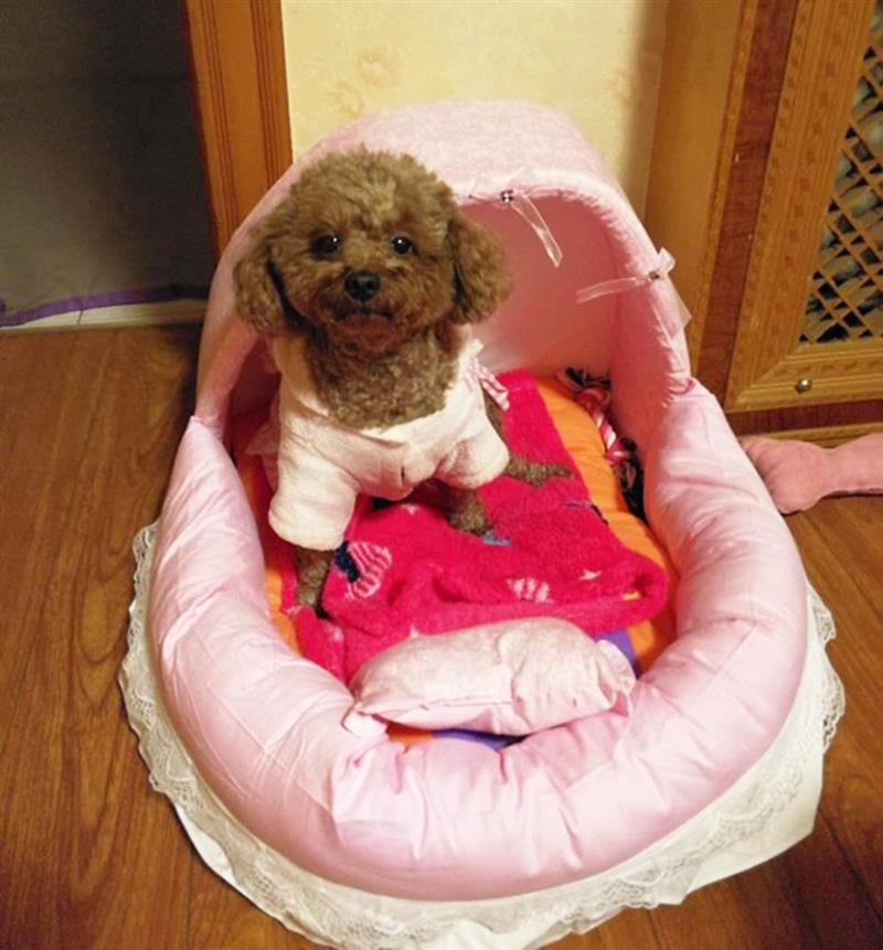 Hondenbed kant prinses huisdier hondenhok krat kat puppy huis droom nest huisdier kennel bank honden nest zachte huisdierbenodigdheden
