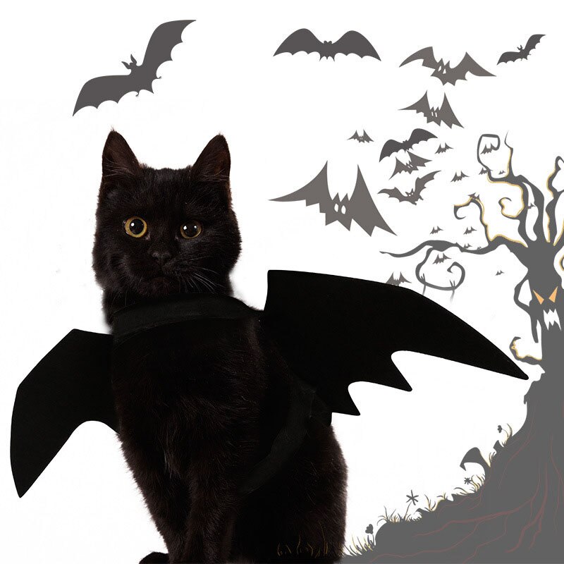 Zwarte Vleermuis Vleugels Vampire Hond Kat Kleding Halloween Party Kostuums Cosplay Props Outfit Vleugels Kat Wear Kleding Pet Accessoires