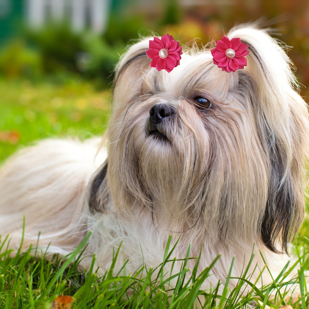 Flower Dog Hair Bows Long Hair Pet Dogs Bows Rubber Band Cat Puppy Hair Clips Pet Grooming Bow Dog Accessories Perros