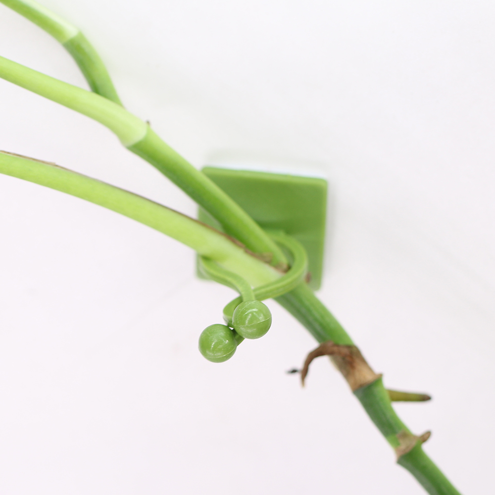 Self-Adhesive Hook for Climbing Plants Fixing to Wall Fixture Clips Supporting Wire Fastener Indoor Garden Home Vines Traction