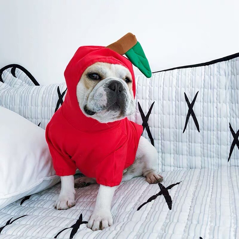 Sjov frugt fransk bulldog hættetrøje hvalp cosplay kostume kæledyr hundetøj til små mellemstore hunde chihuahua pug zzc 02