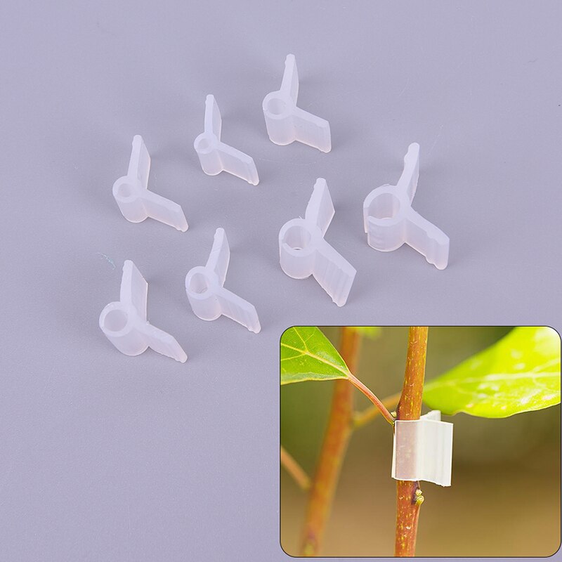 100 Stks/pak Tuin Bloem Plant Wijnstok Zaailingen Geënt Takken Clip Connector Fasteners Plastic Clips Tuin Gereedschap