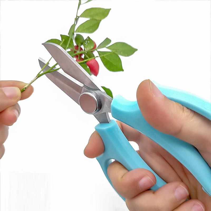 Garden Flower tools Tree Pruning Stainless Steel Tools for Fruit Trees, Flowers and Branches Home Pruning Shears Garden Scissors