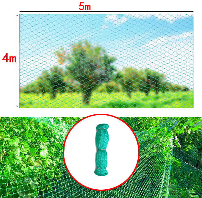 Havenet plante nylon beskyttelsesnet havebeskyttelse grøntsagsplante klatrestativ anti fuglenet: Guld
