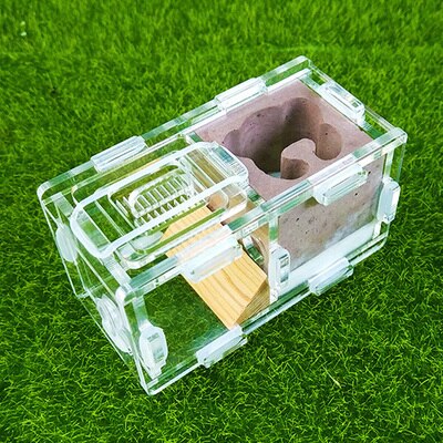 Maur slott maur spleise slott bionisk akryl gips maur reir kjæledyr maur slott verksted hjem maur reir: F3