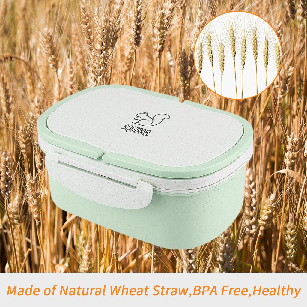 Portable Lunch Box Microwave Lunch Container Box on-the-Go Meal Snack Packing Microwave Safe Portable Student School Lunchbox