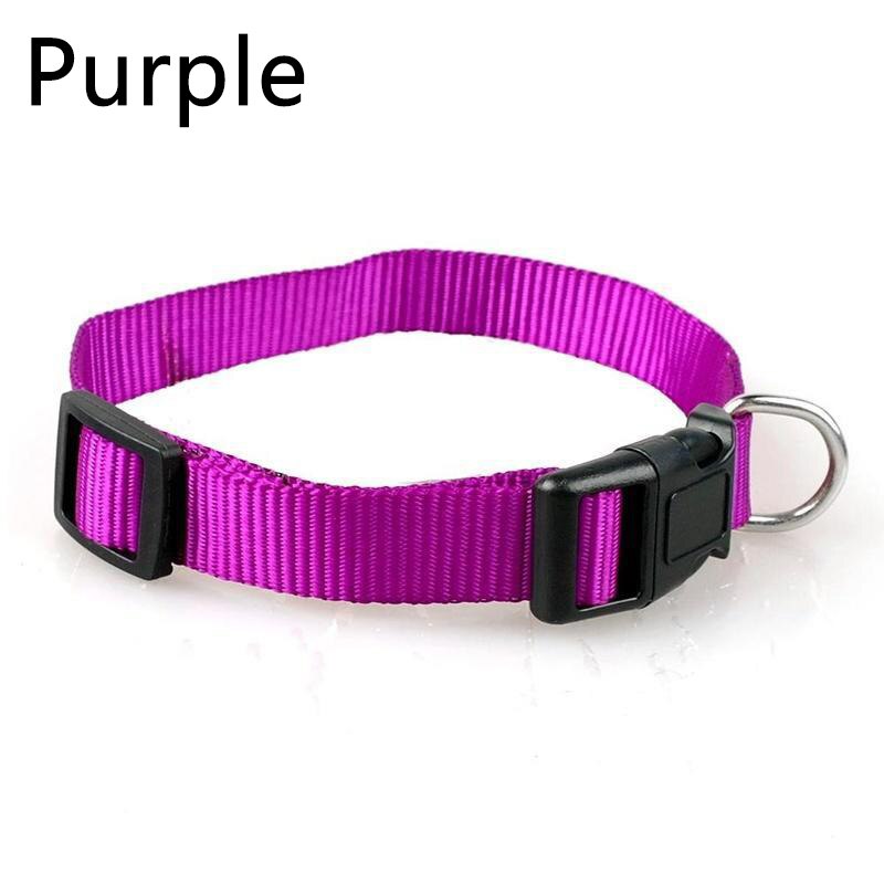 Pet Adjustable nylon dog collars Puppy Dogs Cat Neck Collar Solid Color Chihuahua Puppy nylon Collars: B / L