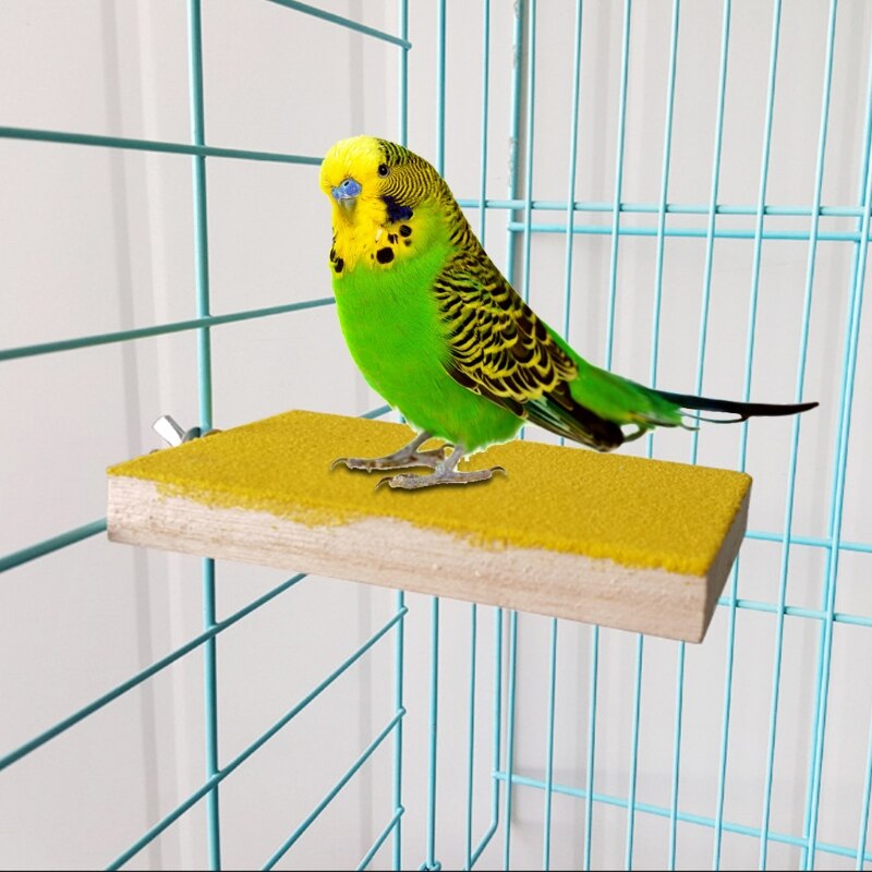 Soporte de percha para loro, plataforma de soporte, muela de madera colorida, juguetes para periquito