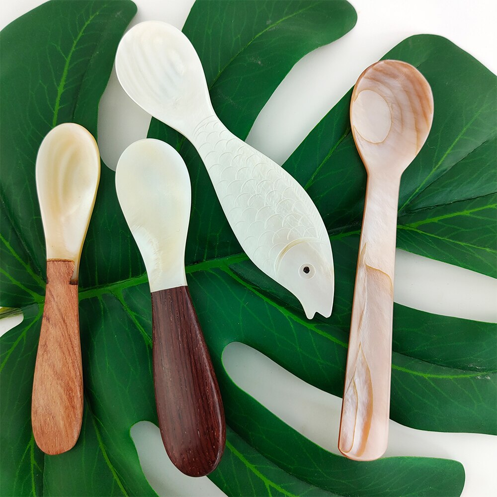 Natural Shell Spoon Deep Sea Shell Spoon Tableware Home Spoon Seasoning Box Spoon Brown Tablespoon