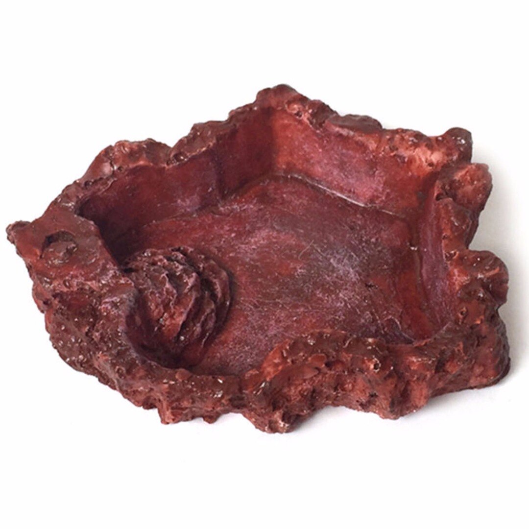 1Pc Reptile Food Water Dish Bowl Feeder Tortoise Lizard Turtle Amphibian Feeding Pot