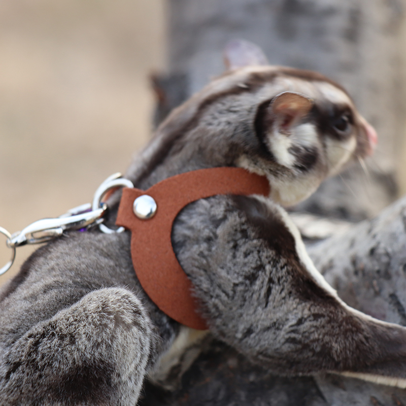 Sugar Glider Towing Harness Little Pet Outdoor Collar 3 Size In One Anti-lost Clothes Leash For Small Pet Supplies Leashes ZA212: brown