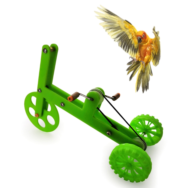 Juguete de bicicleta para loros, divertido juguete de entrenamiento para pájaros, accesorios interactivos educativos