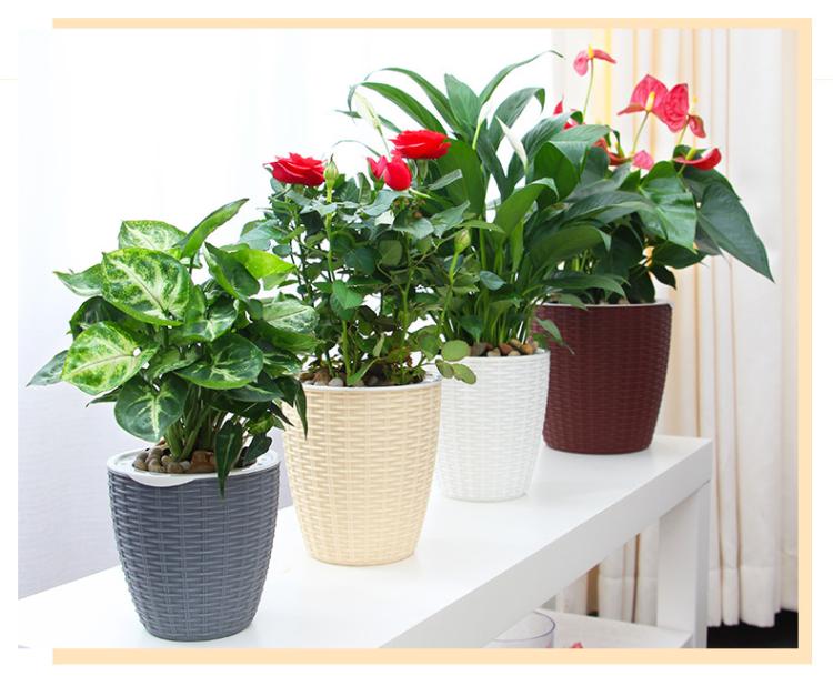 Maceta de flores de autorriego, maceta de imitación de tejido de mimbre automática de absorción de agua, macetas traslúcidas negras para plantar flores
