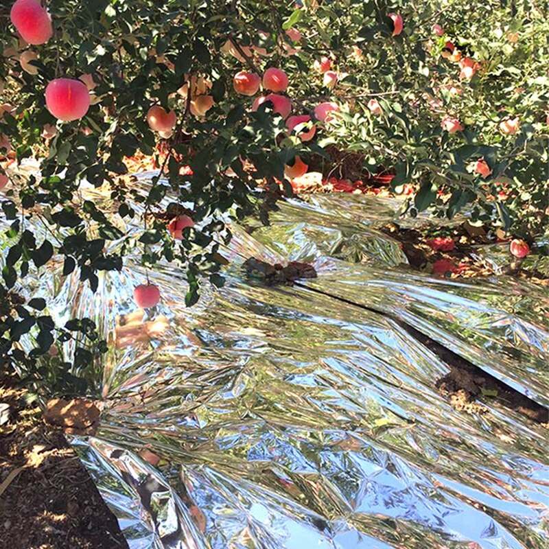 Nuonuowell 1mx5m Plants Greenhouse Reflective Film Agricultural Compensate Light Increase Temperature Reflecting Screen Mulch