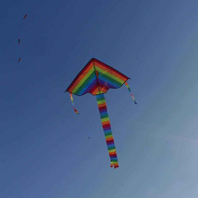 Regenboogvlieger lange staart nylon vlieger zonder vlieggereedschap driehoekige kleurrijke vlieger buitenplezier sport chinese stijl speelgoed