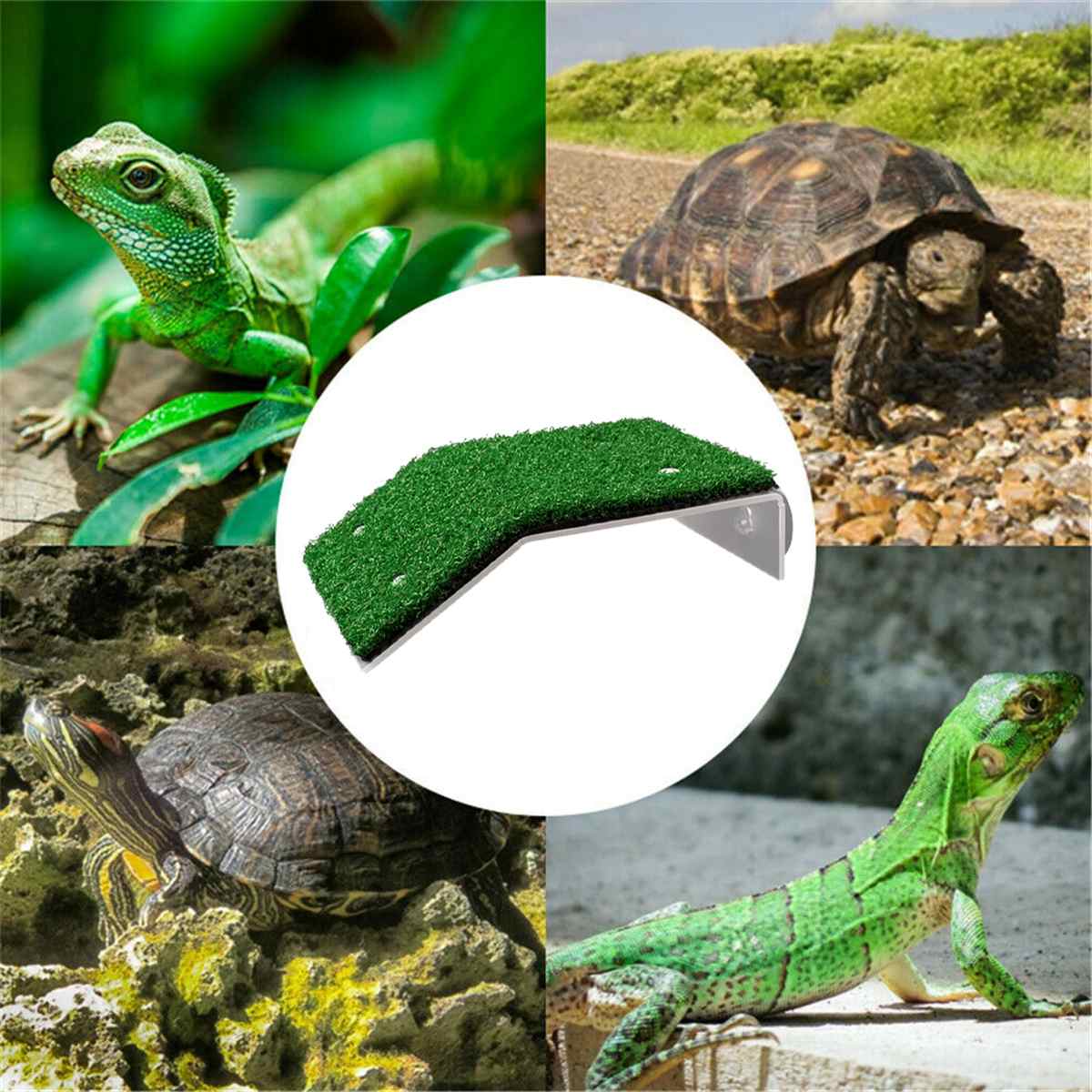 Skilpadde basking plattform akvarium dekor akryl turtle island akvarier mos klatre øy for skilpadder reptil tank dekorasjon