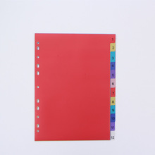 12sheets A4 Colored PP Binder Index Dividers Office School Stationery Accessory Spiral Month Divider Archives Files