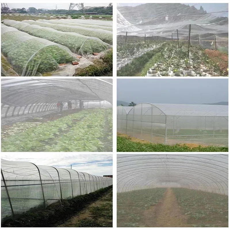 Tuin Insectenbestendig Net, Groente-En Fruitverzorgingshoes, Bloemkas, Insectenbestendig En Vogelbestendig Net, 60 Mesh