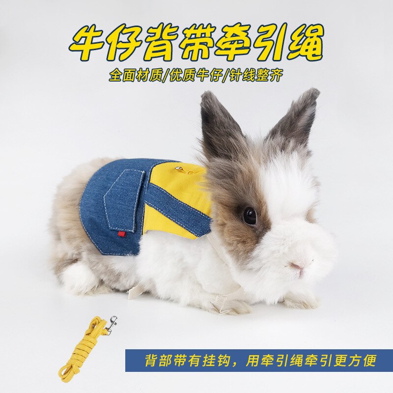 Pet Bunny Clothes Leash Bunny Kitten Cat Cat Lop-eared Rabbit Decoration Costume Traveling to take pictures