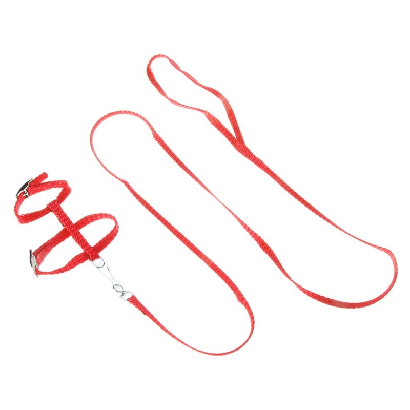 Adjustable Hedgehog Harness For Training Playing Traction Rope Cord For Pets L4MB: Red