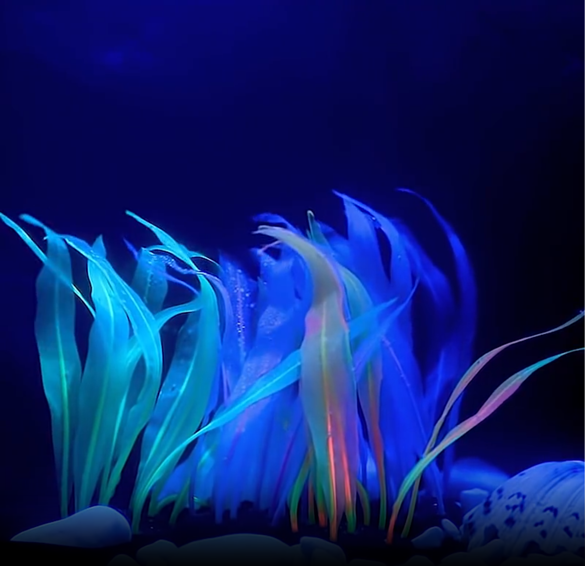 Decoración de acuario de Kelp Artificial, plantas acuáticas, césped acuático, adornos para pecera, accesorios de paisaje subacuático