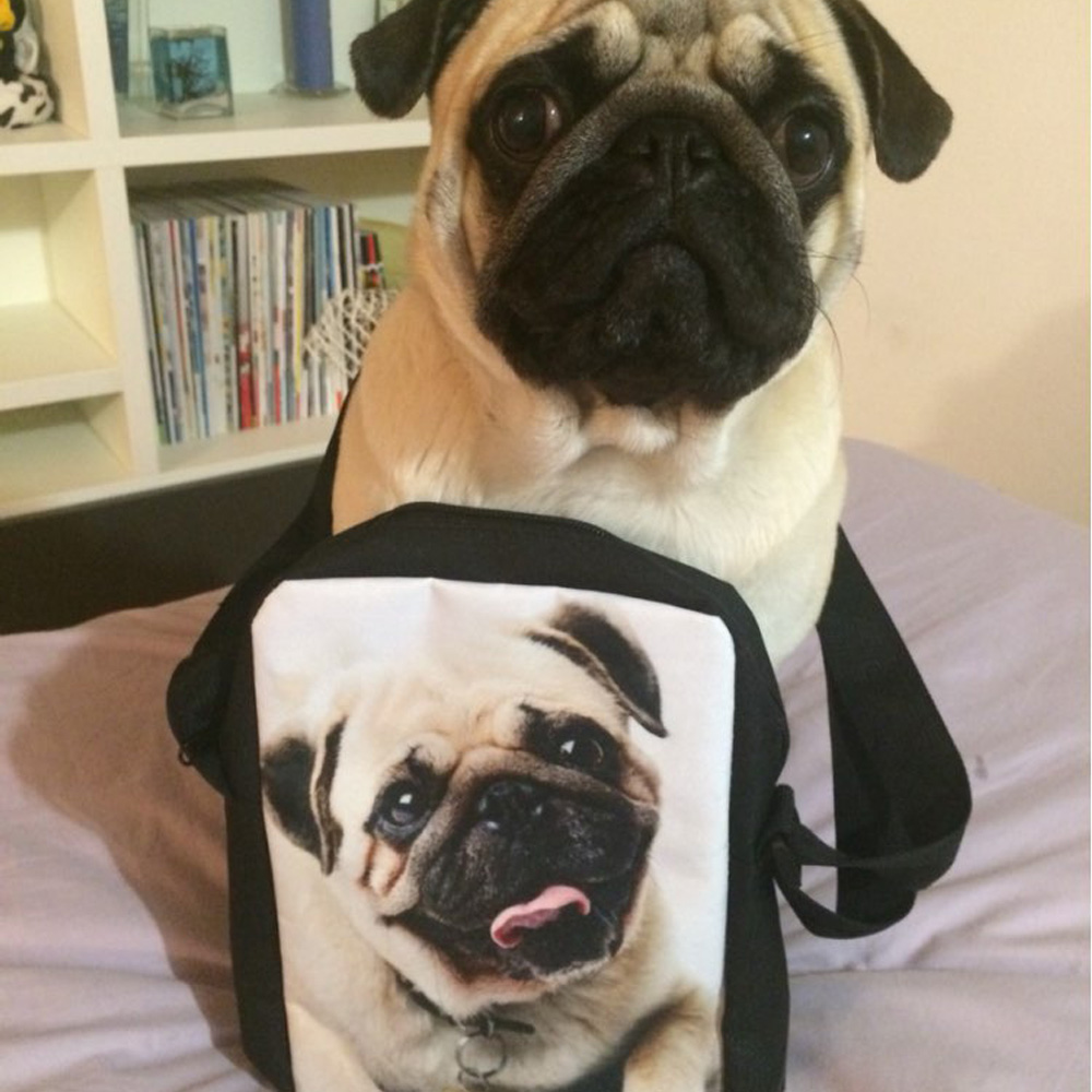 Mini bolsos cruzados con estampado 3D de Bulldog Francés para mujer, bandolera de viaje, bolso de hombro