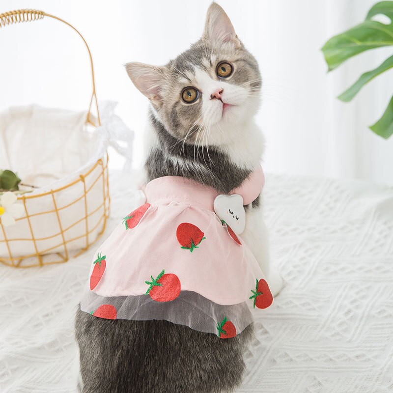 Vêtements d'été pour animaux de compagnie, jupe imprimée de fruits pour chiens, princesse fraise, Super petits vêtements mignons, rose