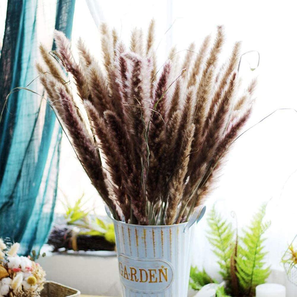 10Pcs Dry Dried Small Pampas Grass Flowers Pantas Artificiales Para Decoracion Real Plants Home Decor Wedding Decoration