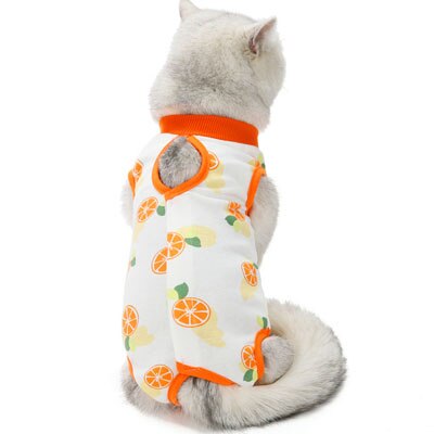 Ropa para mascotas con patrón de frutas, Mono para perro y gato, pijamas para niñas, bata quirúrgica para perros pequeños, monos para perros desteñidos antilamer: orange / S
