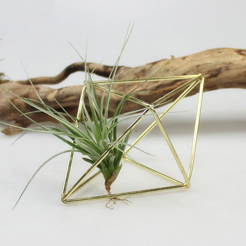 Fristående hängande planteringskärl geometrisk gunga smidesjärn tillandsia luftplantor hållare trekantig metallställning guld