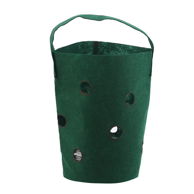 Tuin Outdoor Planten Grow Bag Aardbei Verticale Bloem Kruid Pouch Wortel Ademend Groente Ronde Herbruikbare Pot Planter: Green 11 holes