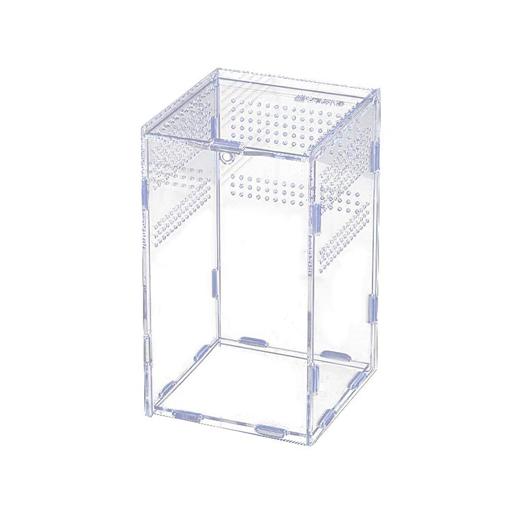 Terrario de insectos para araña, lagarto, cuerno de escorpión, terrario para reptiles acrílico, caja de cría de mascotas transparente: SCARLET