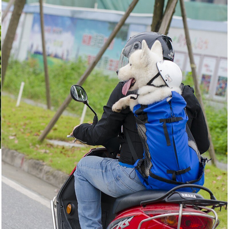 Haustier Hund Träger Reise Rucksack Schulter Hund Outdoor Tasche Lüftung Atmungs Fahrrad Motorrad Outdoor Wandern Sport Tasche