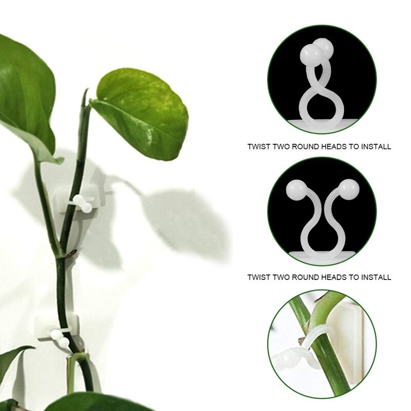 50pcs plante escalade mur vigne Clips boucle fixe crochet extérieur jardin vigne plante mur escalade auto-adhésif attache