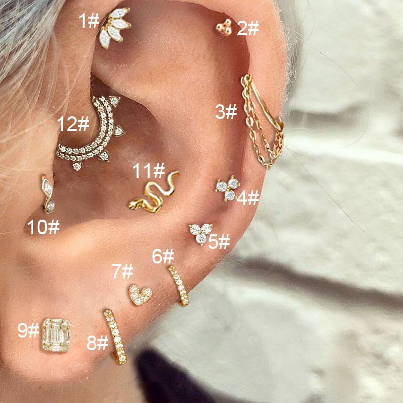 Zirconia Hoop Earring Oor Piercing 1PC Daith Tragus Helix Kwab Rook Hart Slang Kraakbeen Roestvrij Stalen Ketting Oorbel Sieraden: Zilver / Goud-kleur