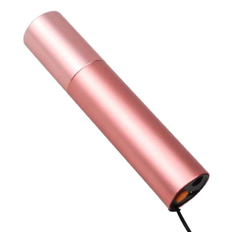 2 in 1 sjov killing teaser stick kat mos detektion rød uv lys pointer kæledyr legetøj: Steg gylden