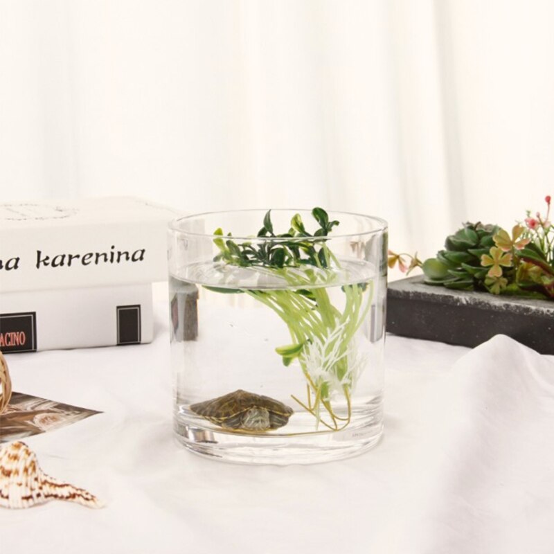 Glass Fish Bowl Clear Vase Cylinder Transparent Fish Tank Desktop Aquariums for Home Decor 3 Sizes Party Supplies