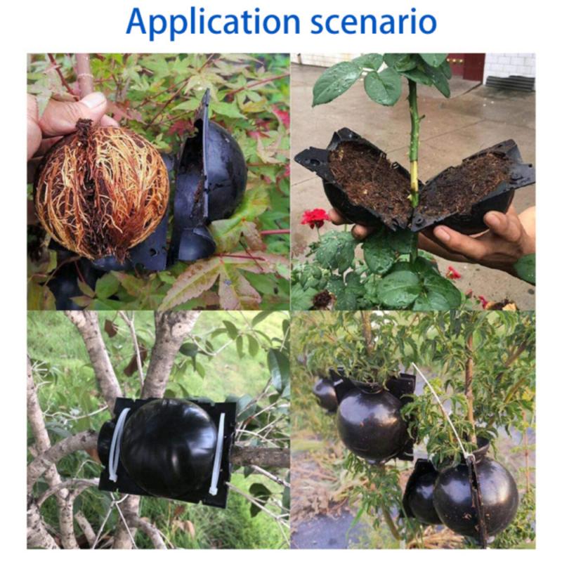 Sprzęt robić ukorzeniania roślin wysokociśnieniowa propagacja roślin piłka owocowa drzewo rosnące pudełko skrzynia hodowlana robić ogrodowego pudełka przeszczepu drzewko