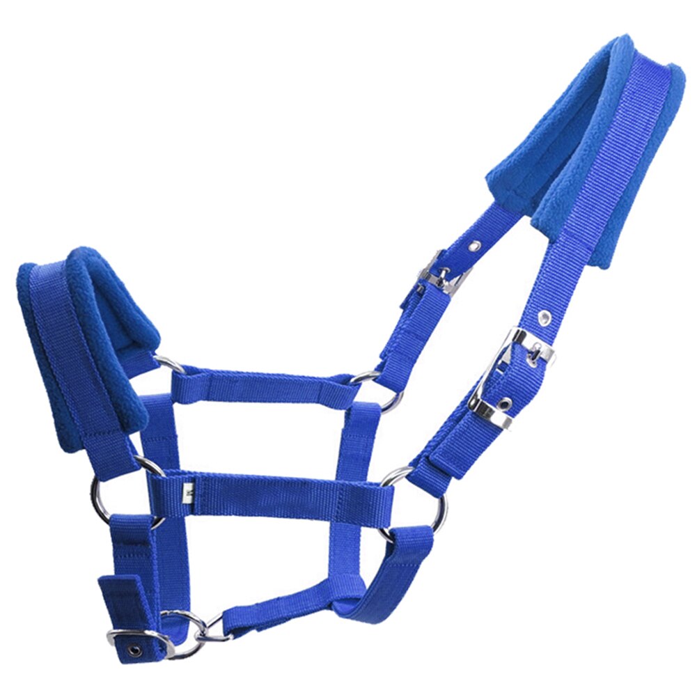 Horse Halter Fleece Padded Multiple Sizes Practical Protective Adjustable Strap Accessories Riding Equipment Double Layered: Blue L