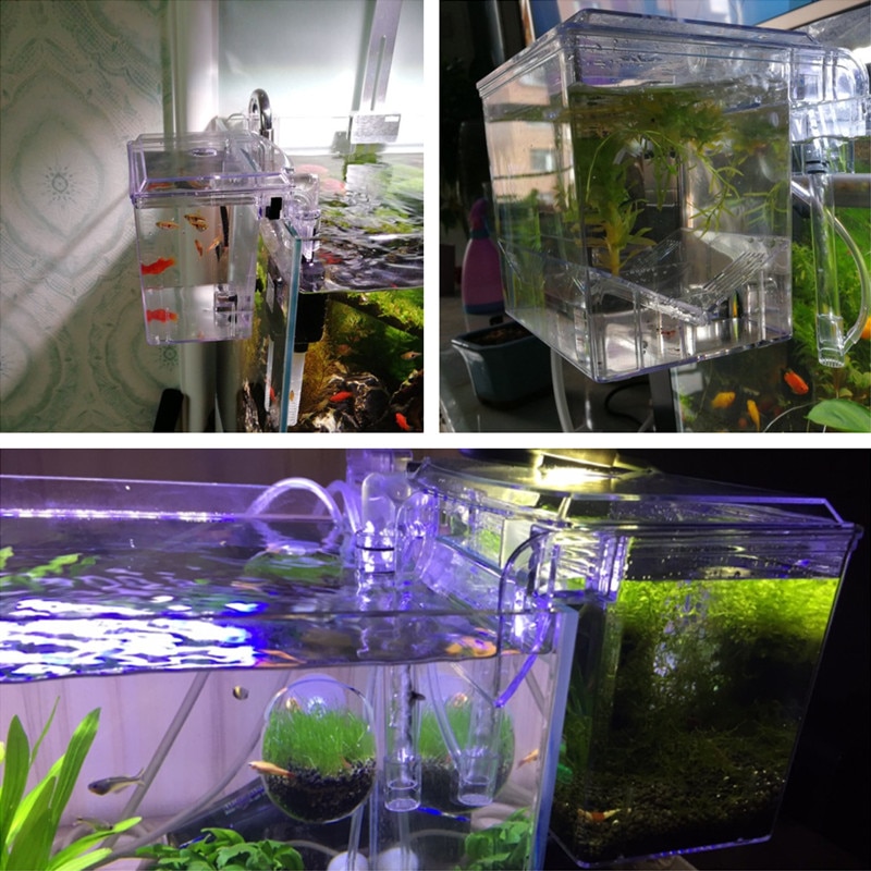 Acrylic External Hanging Aquarium Breeding Isolation Box Mini Fish Tank Hatchery Incubator House for Small Fish Shrimp
